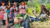 Vinobraní začíná: Velký přehled, kam se v Česku vydat za vínem! Až do října!