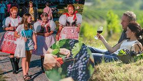 Vinobraní 2019 startuje o tomto víkendu! Kam se vydat?