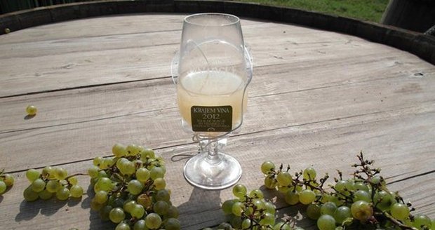 Na Vinohradech se koná další ročník tradičního vinobraní. (ilustrační foto)