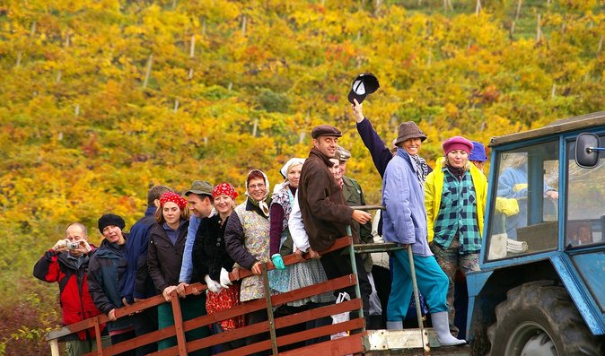 Retro vinobraní ve Valticích
