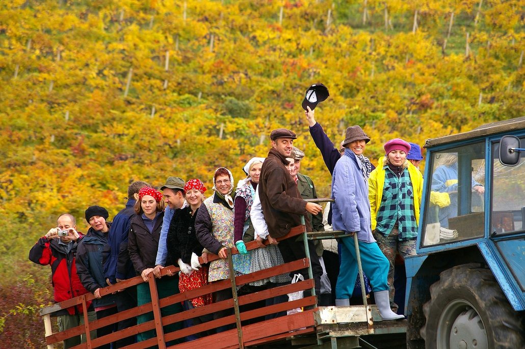 Retro vinobraní ve Valticích