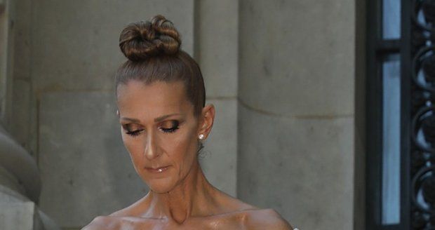 Céline Dion ukázala část svých kalhotek.