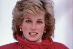 Princezna Diana zemřela v roce 1997. Její smrt zapříčinila dopravní nehoda.