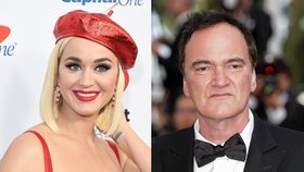 Školu nedokončili Katy Perry nebo Quentin Tarantino. Kdo je další?