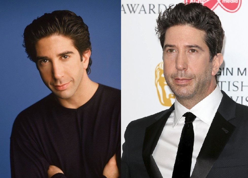 David Schwimmer čili Ross