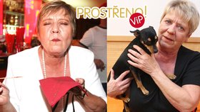 VIP Prostřeno! Obermaierová málem přišla o život, dusila se houbou