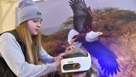 Místo do zoo, můžete rovnou do pouště: Brno spouští revoluční projekt virtuální reality