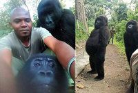 Pytláci jim zabili mámu, strážci parku je vypiplali od „miminek“: Gorily vystřihly selfie jako lidi