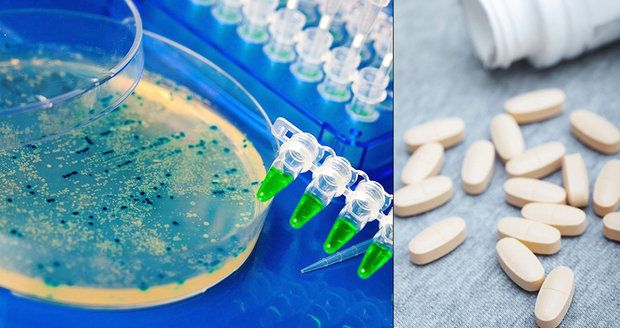 „Supervirus“ ročně zabije 33 tisíc Evropanů. Často nezabírají ani antibiotika