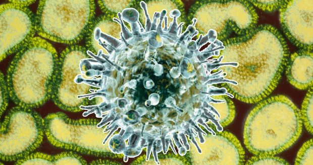 Rozmazlili jsme si imunitu? Chřipka nás může tvrdě zasáhnout. Umírat mohou i děti
