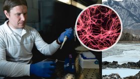 Vědci oživili 50 tisíc let »spící« virus ze Sibiře: Virolog Černý o hrozbě další pandemie! 