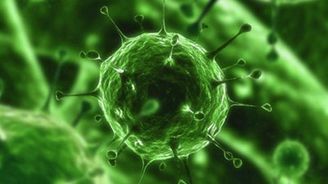 Úžasný virus: útočí na mozkové nádory a posiluje přitom imunitní systém