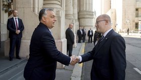 O migraci i společných projektech ve vědě a výzkumu jednal Bohuslav Sobotka a Viktor Orbán.