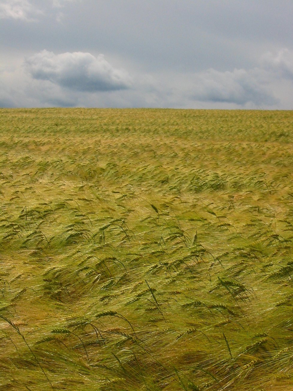 Takto Vít Fikejzl na svůj fotoaparát zachytil krásy různých krajin a hlavně i neopakovatelné kouzlo přírody, která se s každým rokem mění.