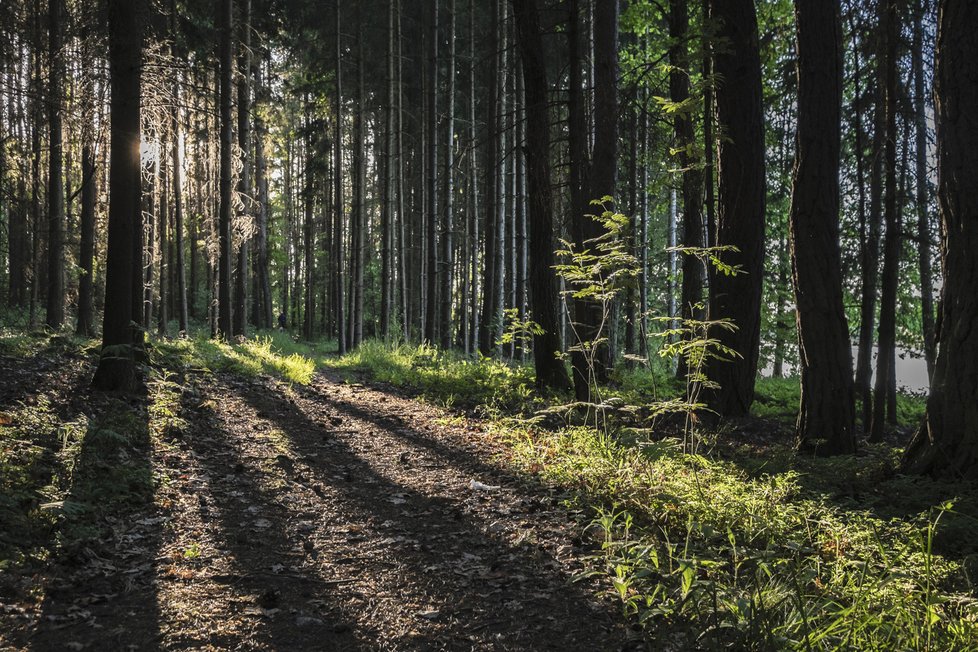 Takto Vít Fikejzl na svůj fotoaparát zachytil krásy různých krajin a hlavně i neopakovatelné kouzlo přírody, která se s každým rokem mění.