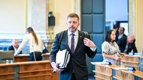 Ministr vnitra Vít Rakušan (STAN) před jednáním vlády. (22. května 2024)