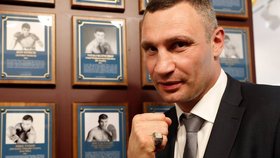 Vitalij Kličko byl úspěšným boxerem.