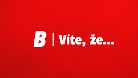 10 otázek k českému předsednictví EU: Fiala přebírá otěže, Češi „povládnou“ půlmiliardové Evropě