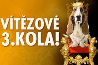 Vyhlašujeme vítěze 3. kola soutěže NEJ pes Česka
