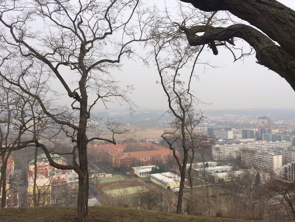 Z Vítkova je na Prahu krásný výhled. Není divu, že jej lidé hojně navštěvují za účelem procházek.