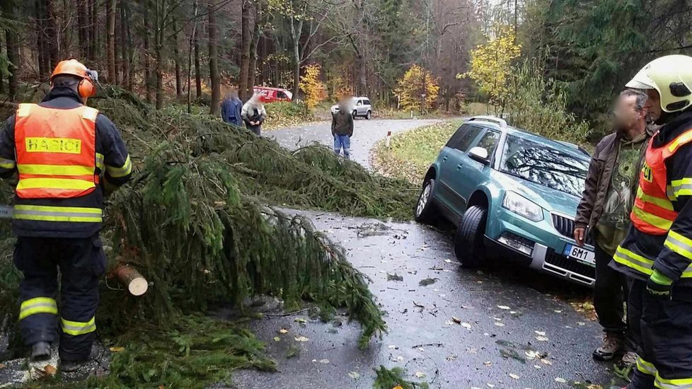 Škody po vichřici Herwart pojišťovny stály 1,5 miliardy korun.