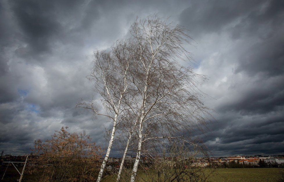 Podle varování meteorologů zasáhne Česko vítr až o rychlosti orkánu