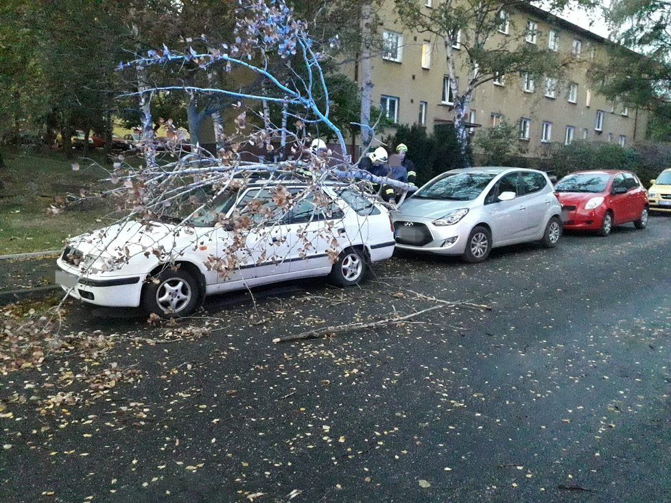 Česko zasáhl silný vítr a lámal stromy (30. 9. 2019)