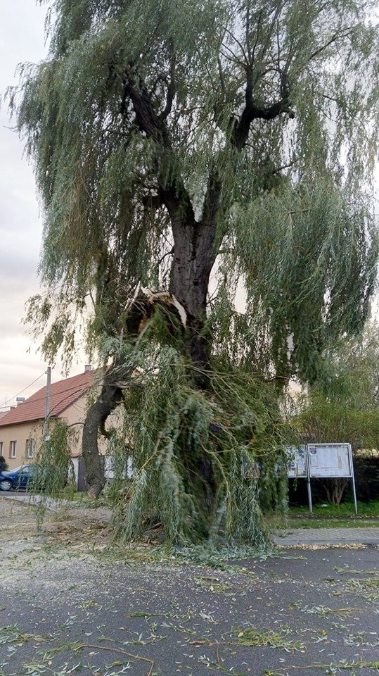 Česko zasáhl silný vítr a lámal stromy (30. 9. 2019)