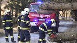 Vítr pustoší Česko: Spadlý strom zabil řidiče, lidé jsou bez proudu