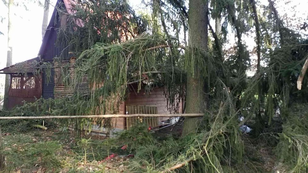 Hasiči na Pardubicku odstraňovali následky silného větru (6. 12. 2020)