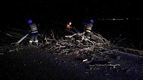 Během uplynulé noci zasahovali jen jihomoravští hasiči u třinácti spadlých stromů