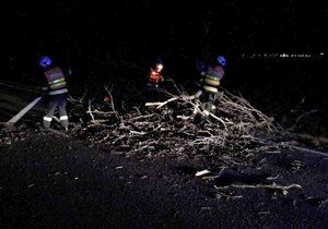 Během uplynulé noci zasahovali jen jihomoravští hasiči u třinácti spadlých stromů