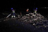 Sníh a vichřice pustoší Česko: Silnice pokryly větve a zlámané stromy