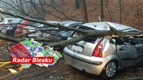 Severovýchod Česka postihne silný vítr, na horách dosáhne rychlosti i 110 km/h.