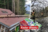 Na západ Čech se žene silný vítr, výstraha platí pro víc krajů. Sledujte radar Blesku