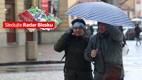 Na Moravu a Slezsko se řítí silný vítr. Může lámat větve i ničit budovy, sledujte radar Blesku