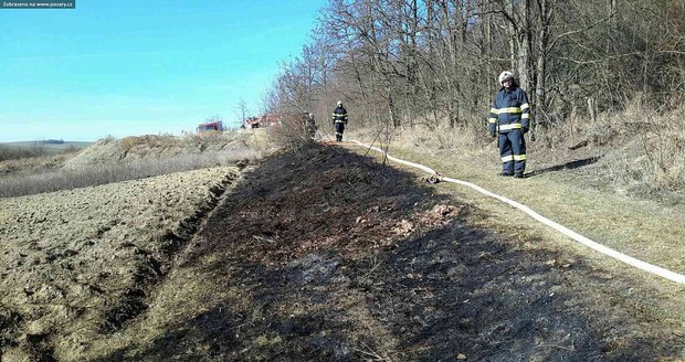 Část požárů trávy a lesních porostů, které jihomoravští hasiči po celou sobotu likvidovali, vznikla lidskou nedbalostí.