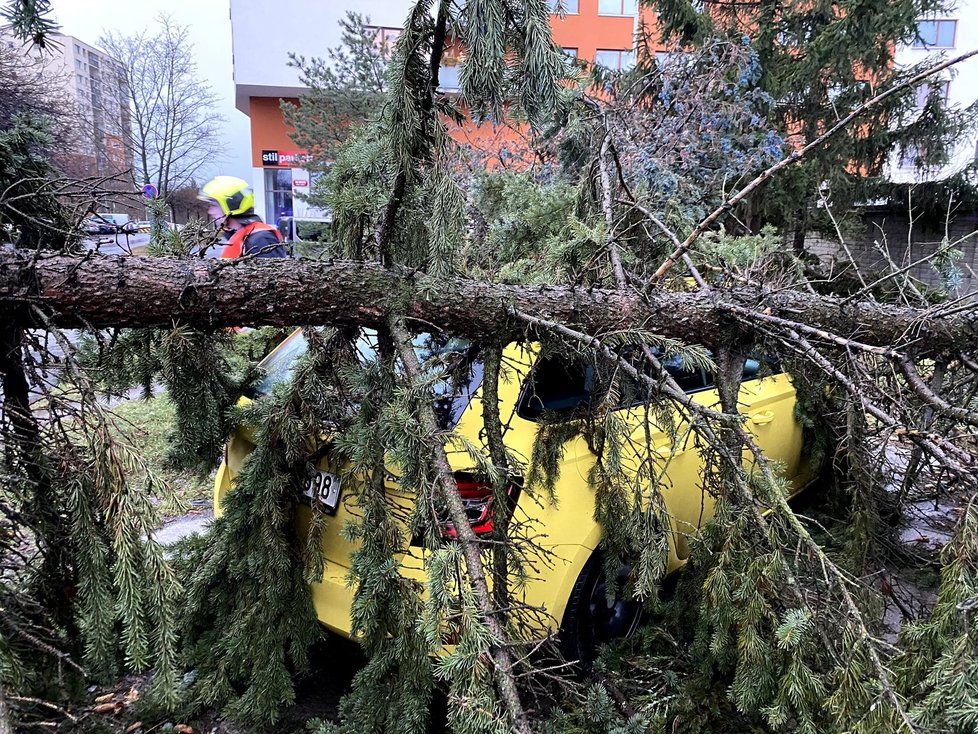 Severovýchod Česka postihne silný vítr, na horách dosáhne rychlosti i 110 km/h.