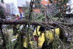 Vlivem větru v Praze popadaly stromy, 26. srpna 2020.
