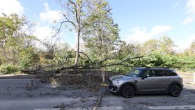 Vítr komplikoval život Pražanům, zasahovat museli i hasači