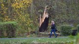 Silný vítr, bouřka v Česku a povodňová hrozba na Šumavě: O víkendu sledujte radar