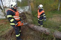 Silný vítr přivál potíže. Padající strom sešrotoval auto a těsně minul autobus