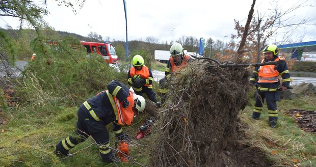 Silný vítr zaměstnává hasiče a ohrožuje Čechy. Na Vysočině padají stromy