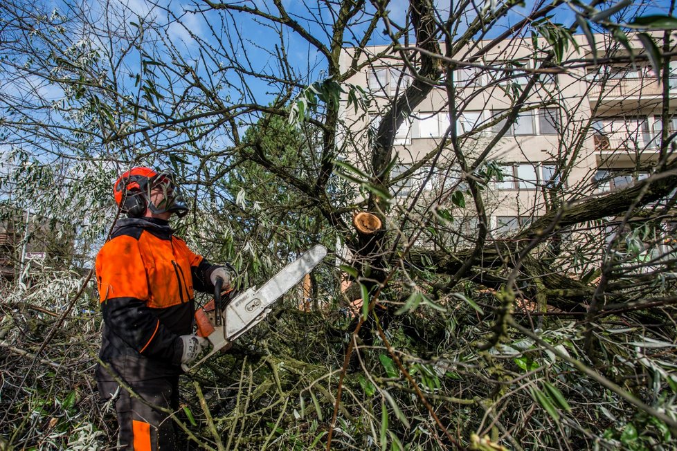 Silný vítr zaměstnává hasiče a ohrožuje Čechy. Padající stromy už i zabíjely