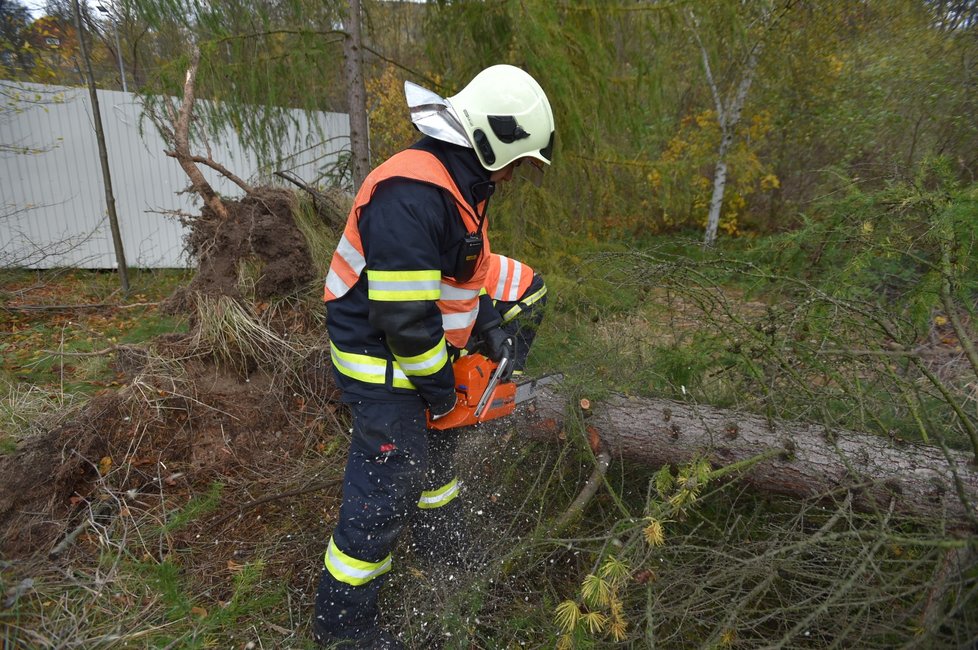 Silný vítr zaměstnává hasiče a ohrožuje Čechy. Padající stromy už i zabíjely