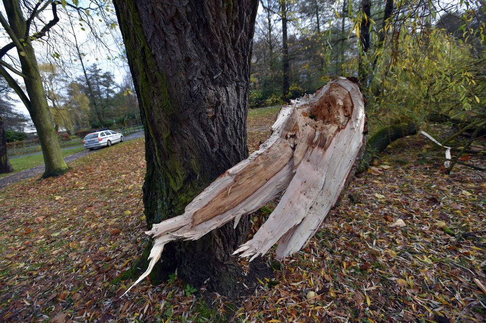 Silný vítr zaměstnává hasiče a ohrožuje Čechy. Padající stromy už i zabíjely