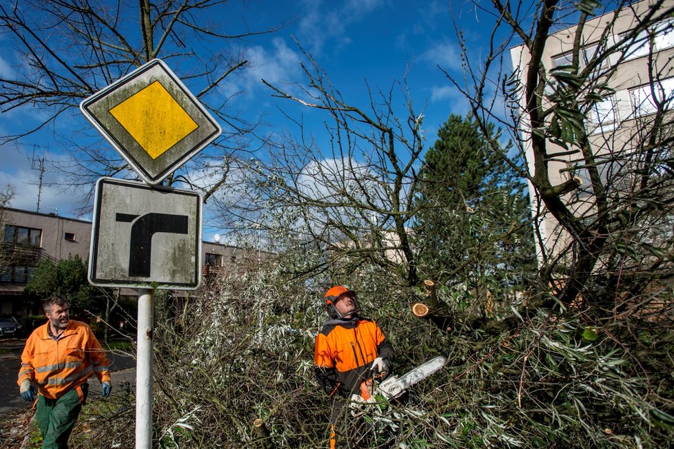 Silný vítr zaměstnává hasiče a ohrožuje Čechy. Padající stromy už i zabíjely