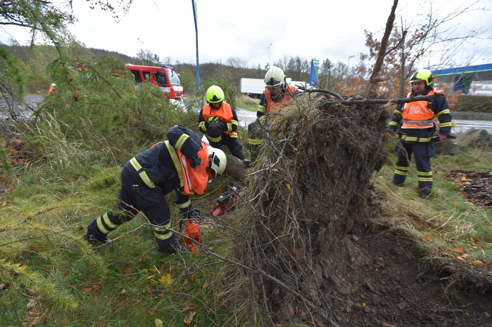 Silný vítr zaměstnává hasiče a ohrožuje Čechy. Padající stromy už i zabíjely