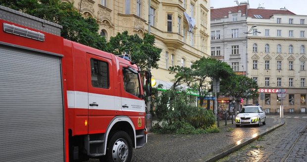 Silný vítr v Praze: Zlámal stromy, plechy létaly ze střech