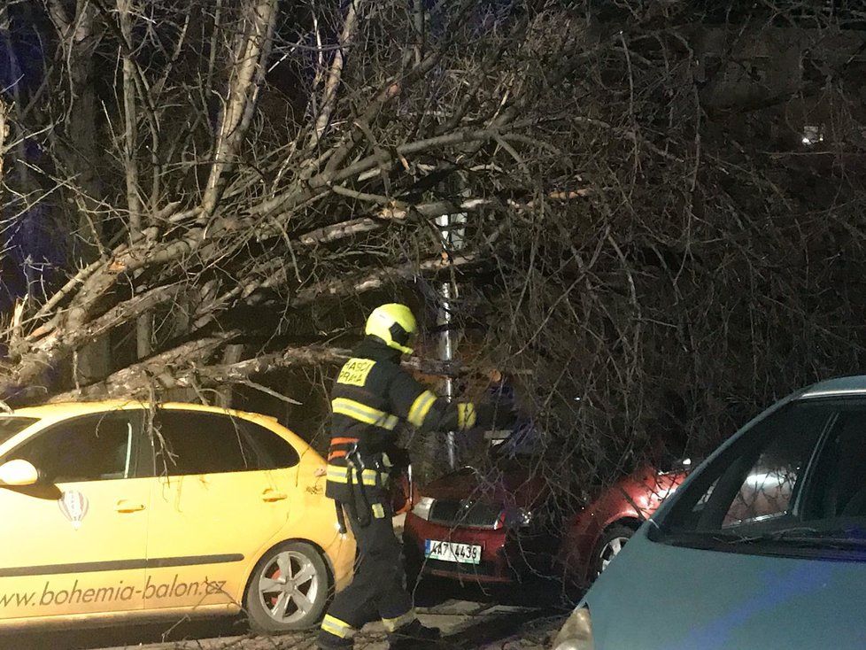 V Dřevčické ulici spadl strom na zaparkovaná auta.